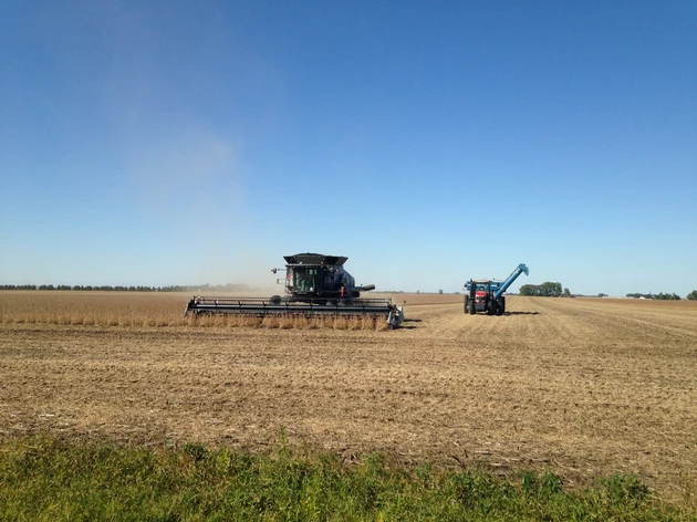 harvest