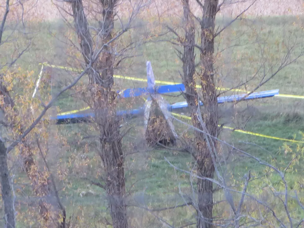 Del Voegele Experimental Plane Crash Site- photo by Gordy Kosfeld