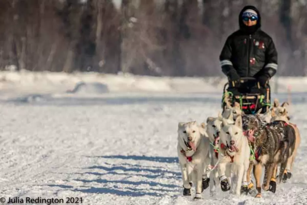 Duluthian Gunnar Johnson Doesn’t Finish Iditarod Due To COVID