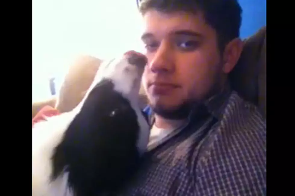 Naughty Dog Uses Sweet Tricks to Avoid Being Ratted Out