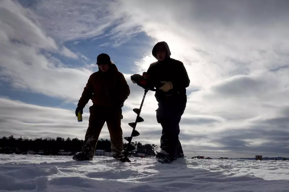 ‘If You Find One, You’ll Find A Hundred’ It’s A Perch Party On MN Lakes