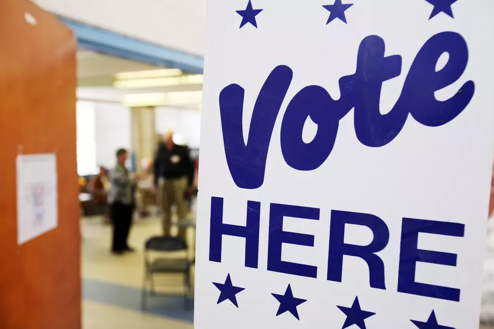 Still Waiting For A GOP Winner In Minnesota Congressional Primary