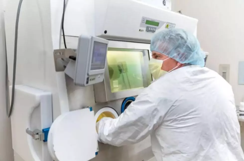 Mayo Clinic Joint Venture Aims to Bolster Advanced Cancer Therapy