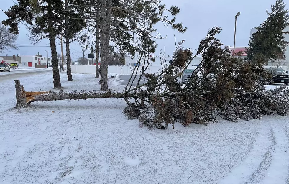 NWS: Top Wind Speed in MN 78 mph Early Thursday
