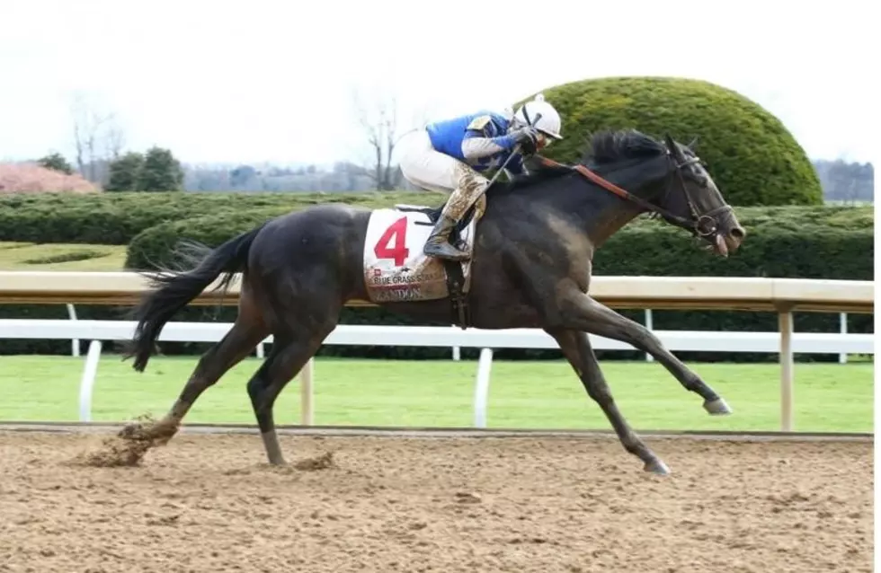 Clearwater Couple Owns a Horse Headed to the Kentucky Derby