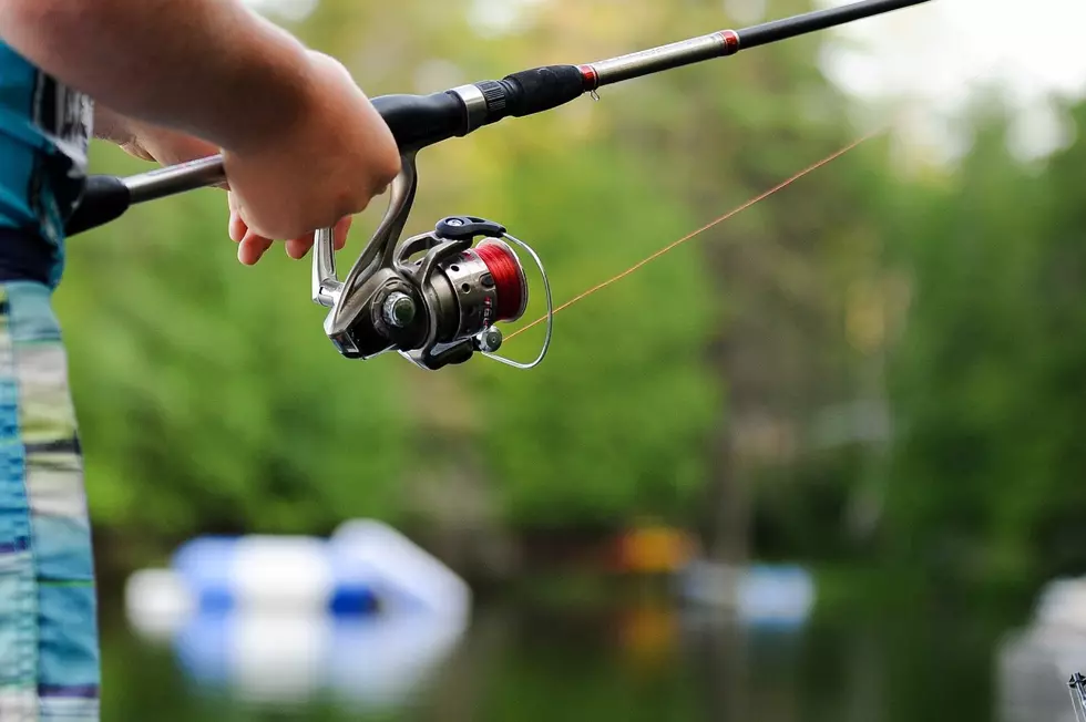 MN Bait Shops Worry About Minnow Supply