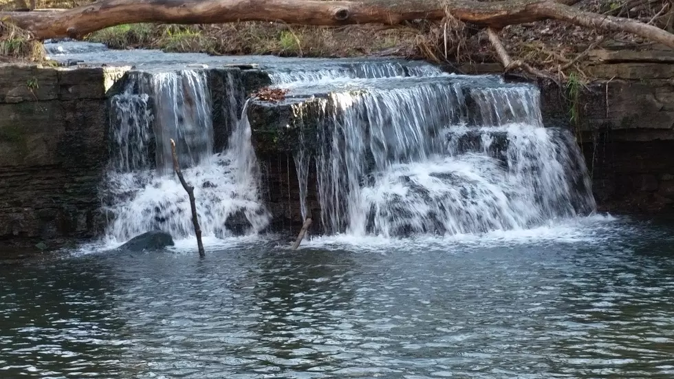 A Stroll Through Caron Park