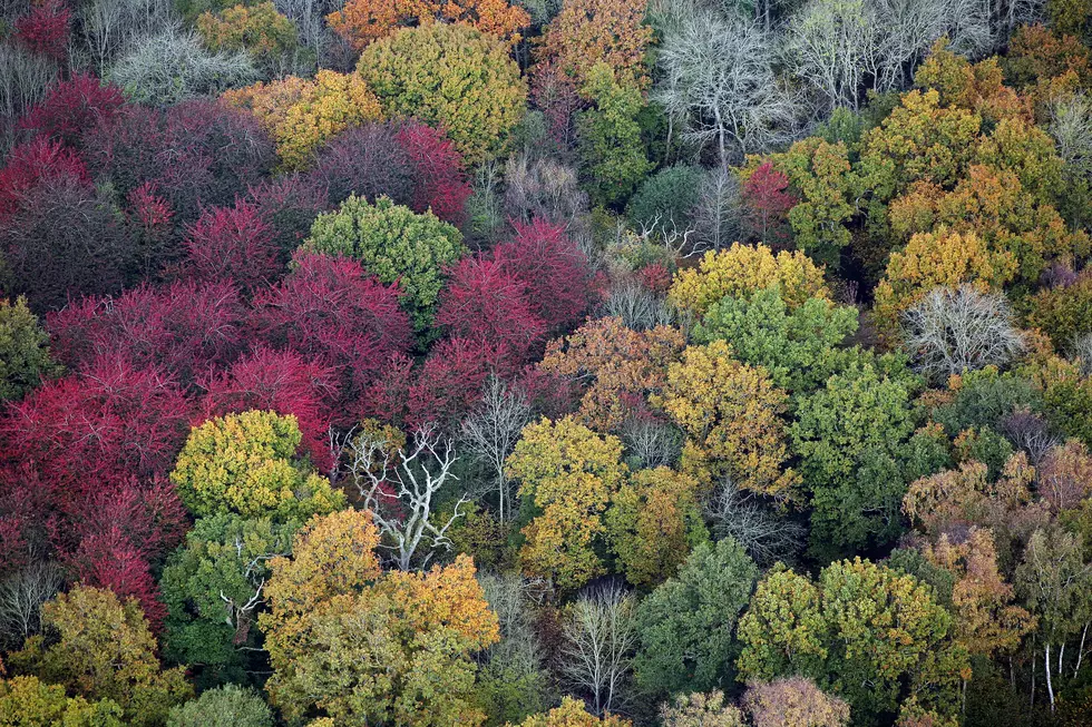 Rain Today…First Frost Wednesday? Welcome to Fall