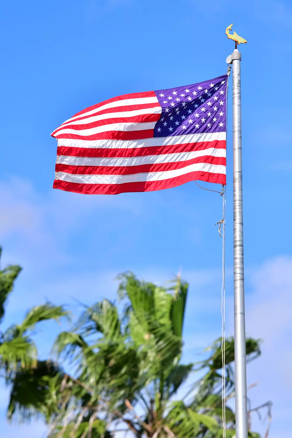 Local Police Advise Residents How To Protect Their Flags Amid Rising Thefts