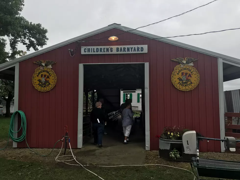 Goodhue County Fair Pulls Plug on 2020