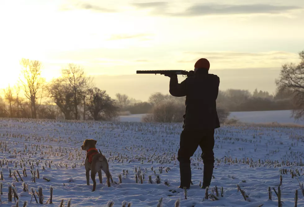 Duck Hunting Season Opens Saturday