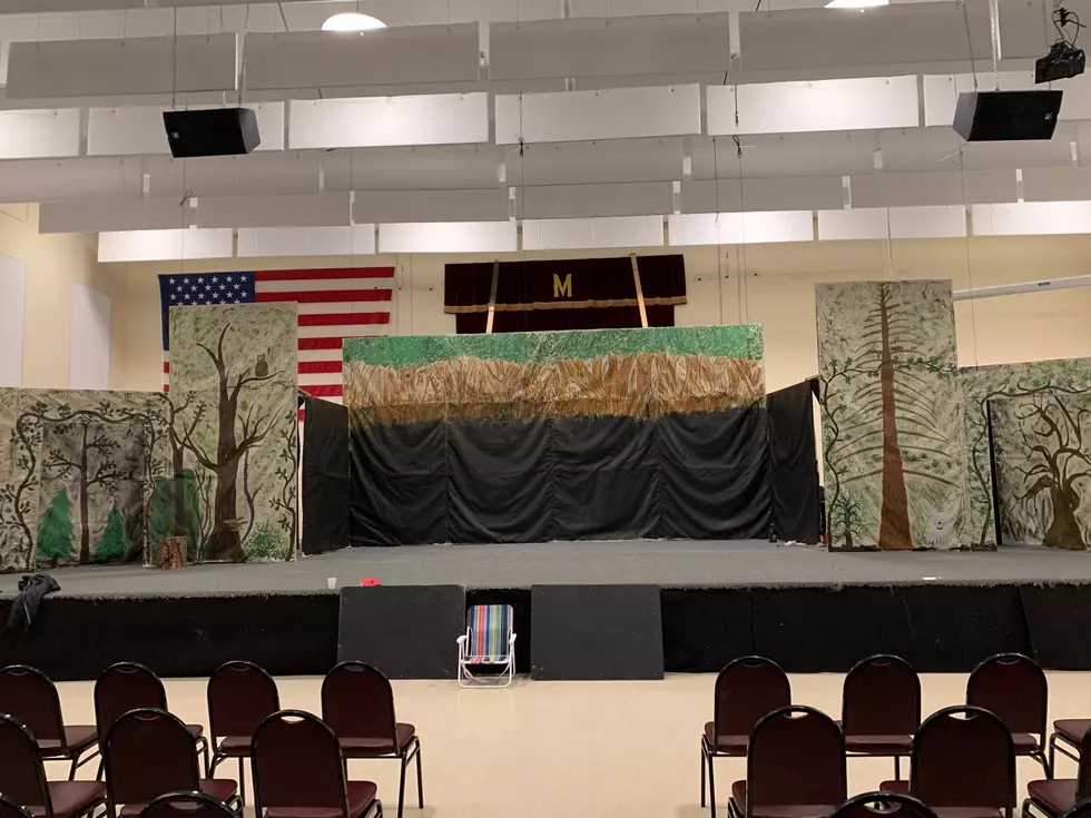 Cannon Valley Players Back for Love of Community