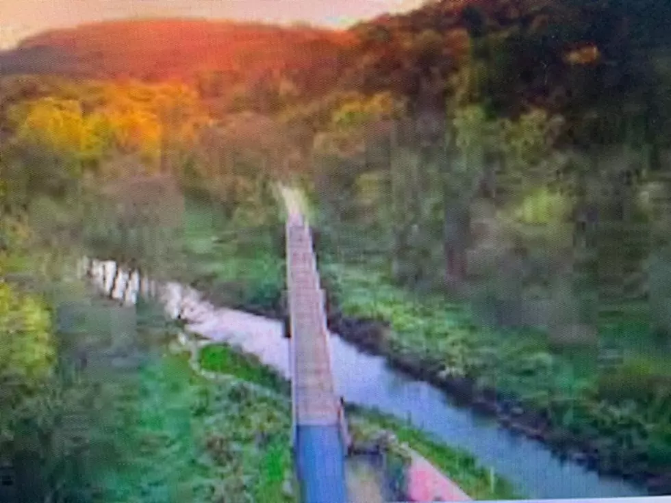 Cannon Valley Trail Biking is Booming
