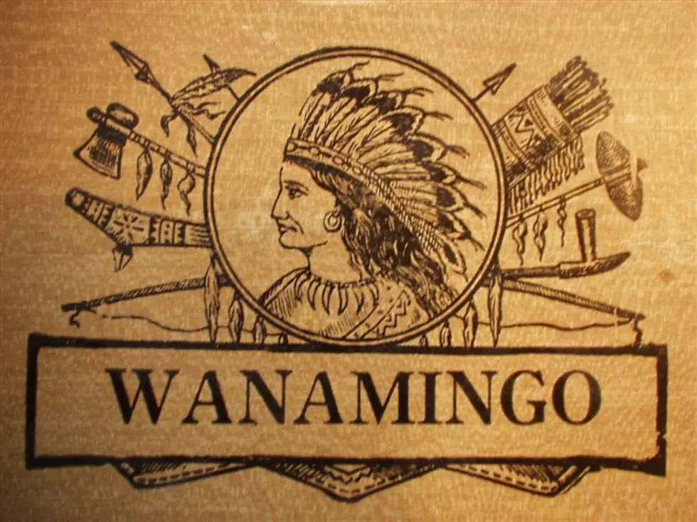 Wanamingo Ends Season At State Tournament