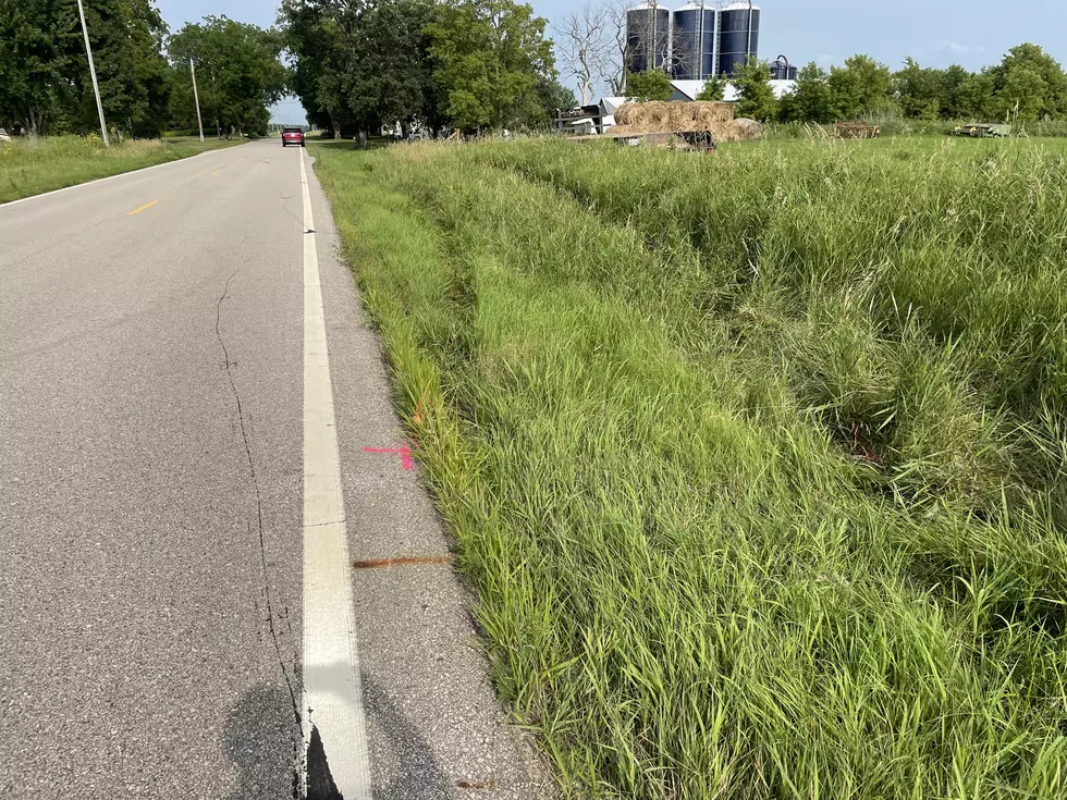 Tire Tracks in Ditch and More Markings 245th Street West, Morristown Township. Photo by Gordy Kosfeld
