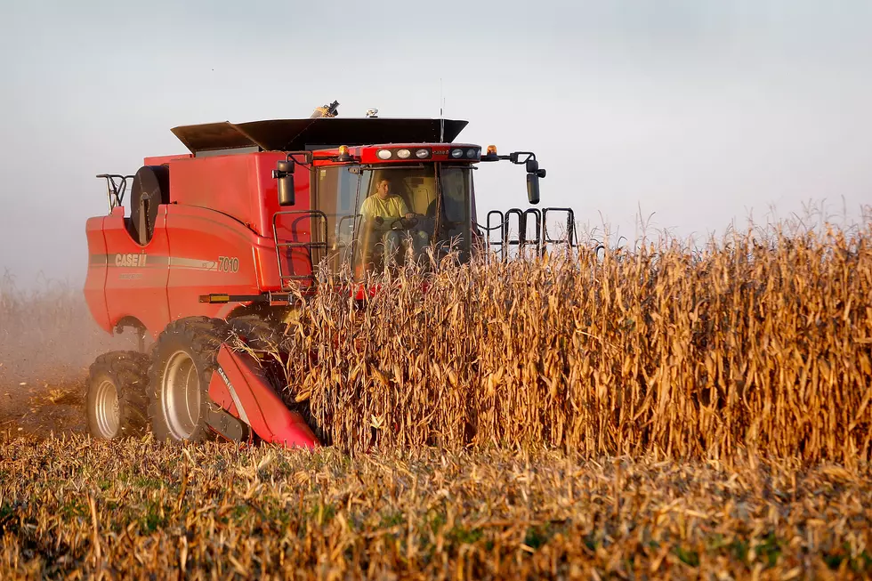 Minnesota’s November Weather Continues 2021’s Trend: Warm & Dry