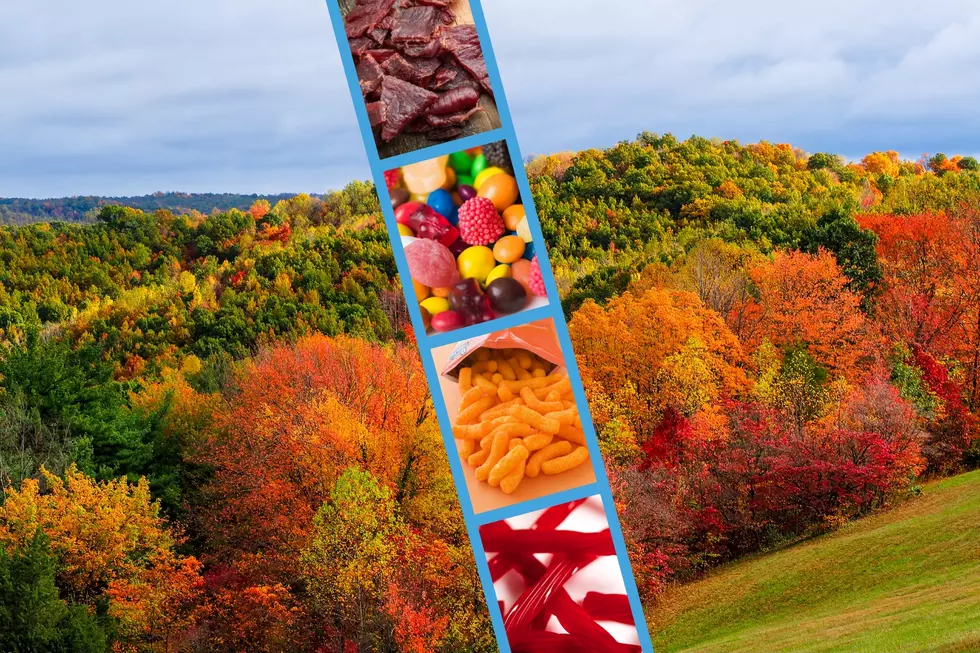 10 Must-Have Snacks for Fall Color Road Tripping Across Minnesota