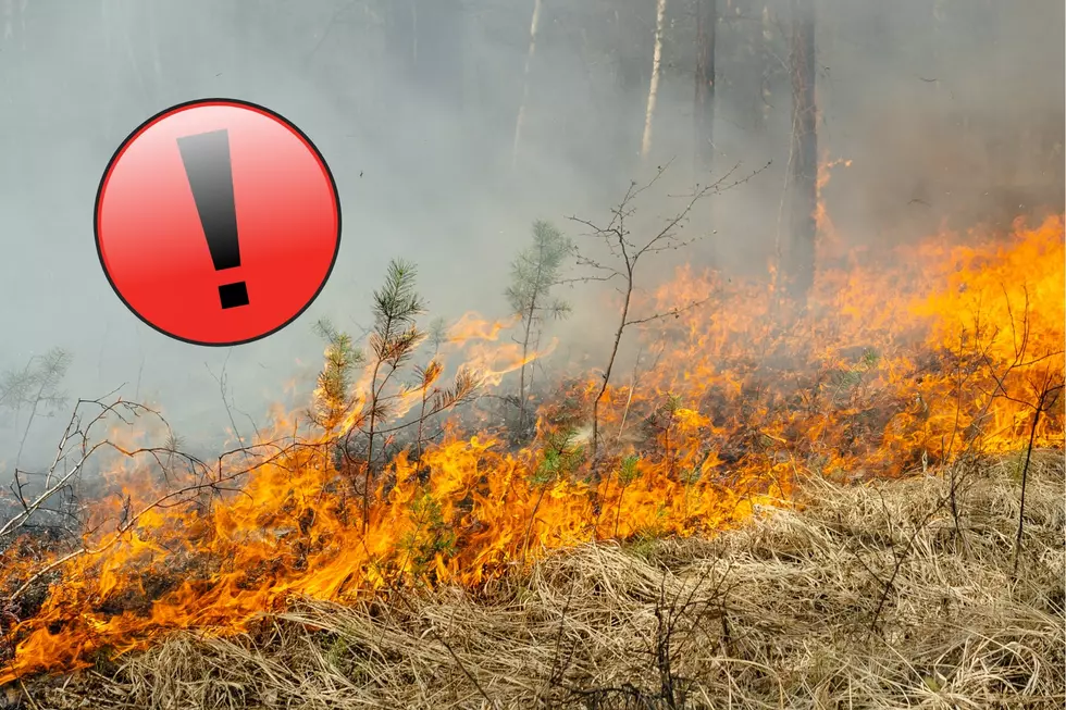 Elevated Fire Danger Across Southern Minnesota Again Today