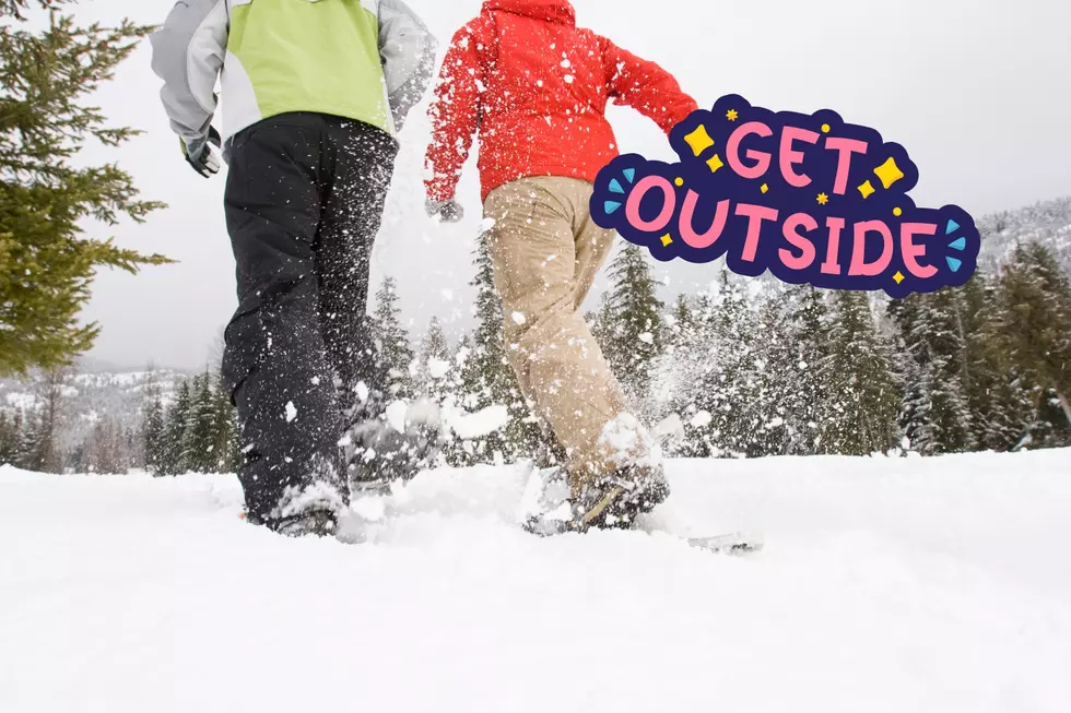 Insider Tips for Fun Winter Outings at Minnesota State Parks