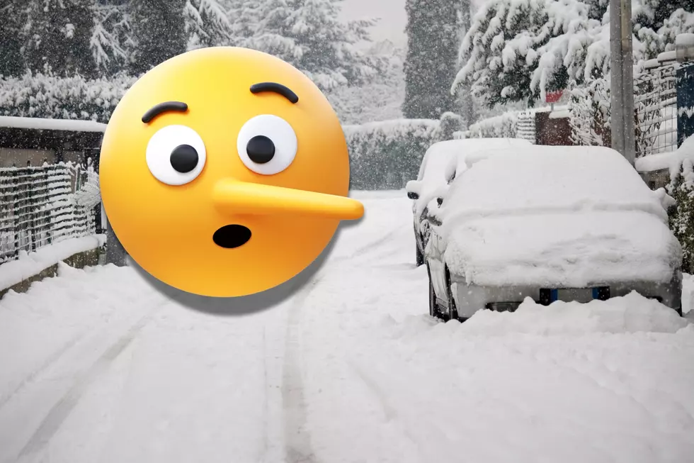 Ten Lies We Tell Ourselves to Survive in Minnesota