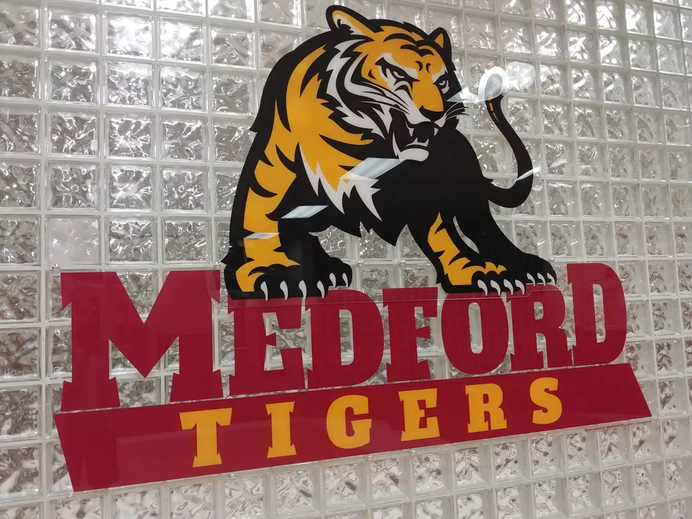 tiger logo