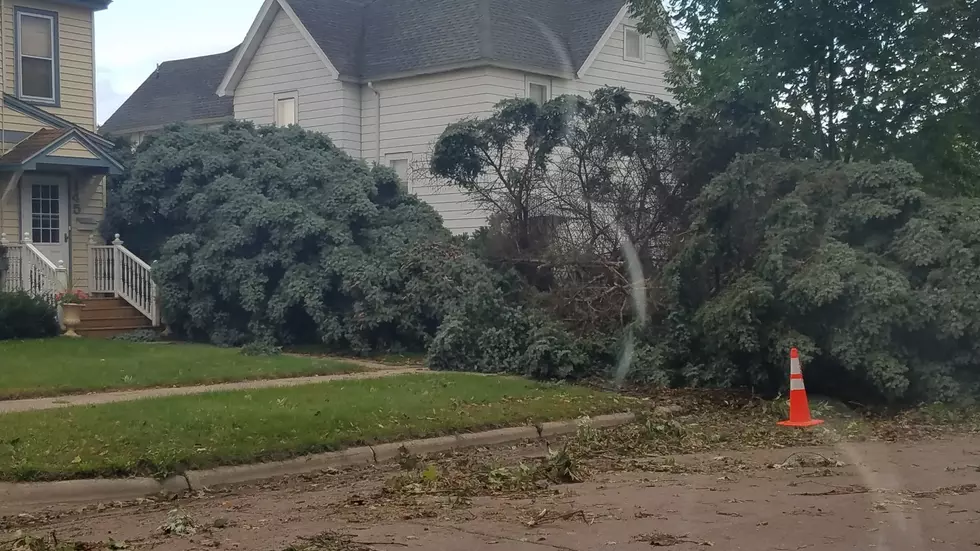 Storm Clean-Up Assistance – UPDATED
