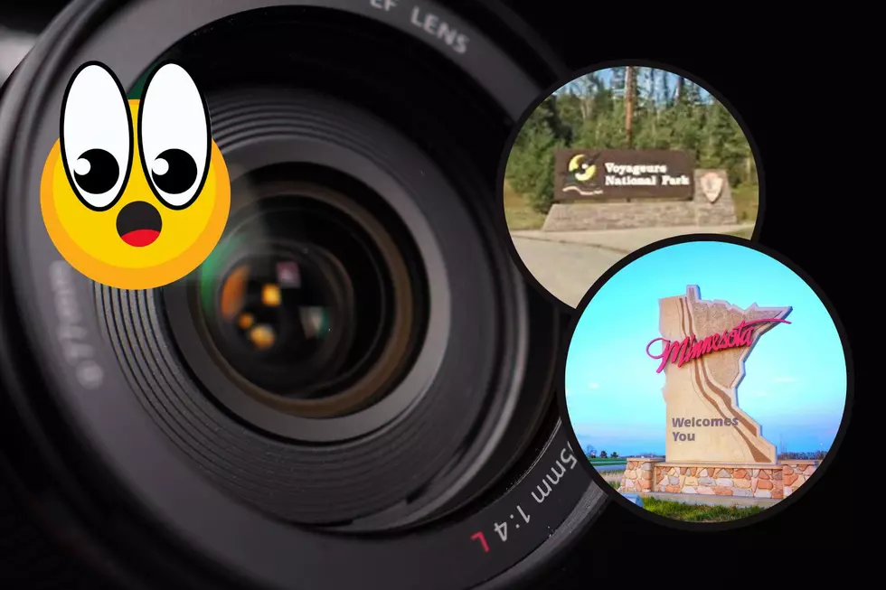 CAUGHT ON CAMERA: Extremely Rare Animal Spotted In Minnesota