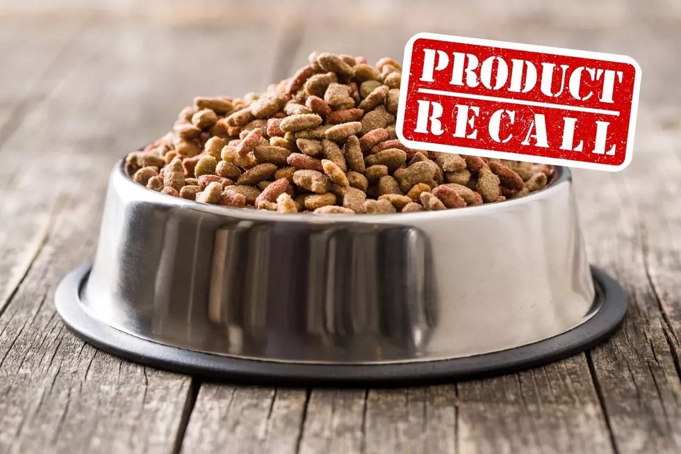 WARNING! Dog Food Recalled in Minnesota, Iowa, and Illinois