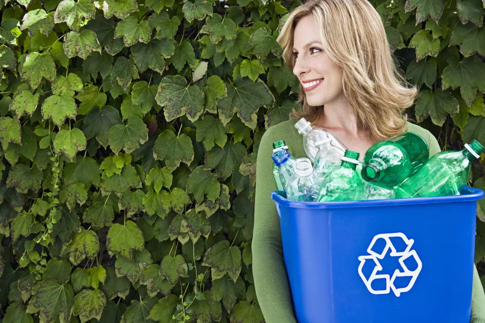 5 Easy Ways to Help the Earth on Earth Day