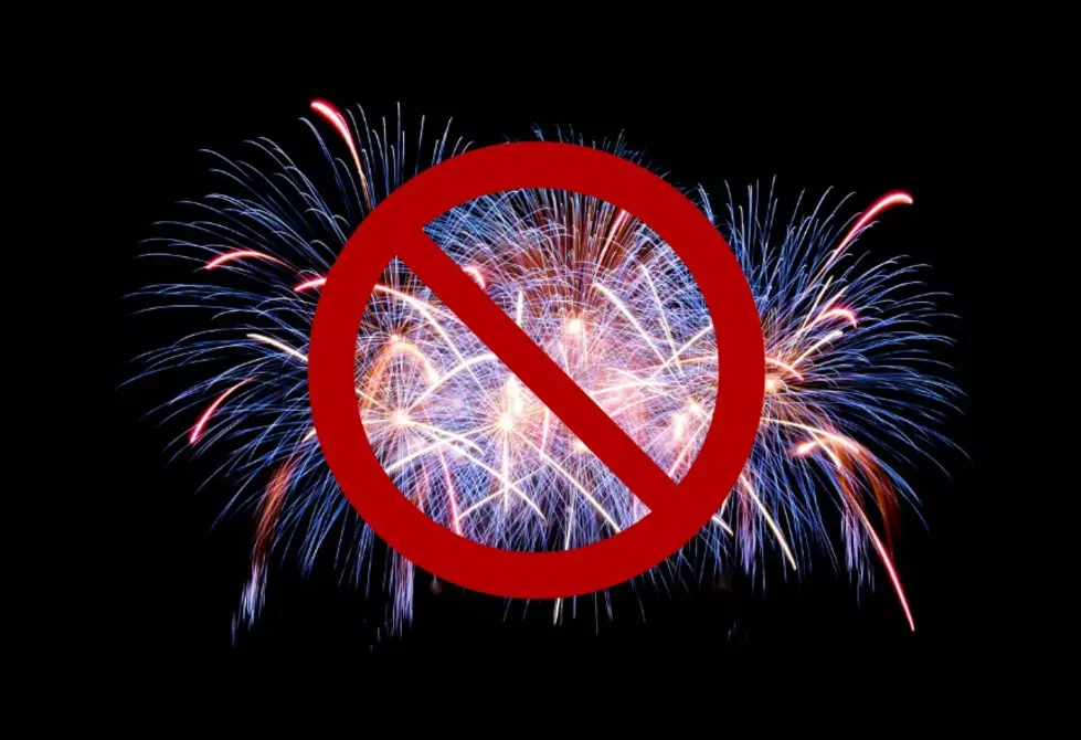 Minnesota’s Largest City Says No Fireworks For Independence Day Celebration