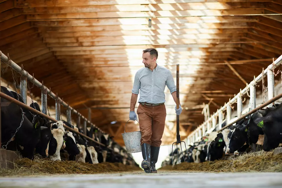 Kent Thiesse Talks COVID-19 Aid For Livestock Producers