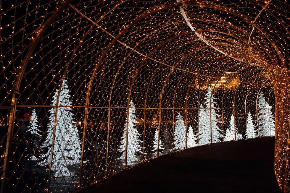 Craving Fair Food? Head To This Huge Holiday Event at the Minnesota State Fairgrounds!